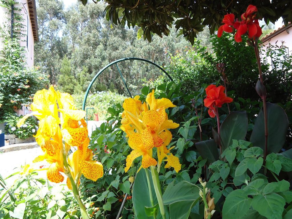 בית הארחה ויאנה דו קסטלו 	Quinta Do Vale Do Monte מראה חיצוני תמונה